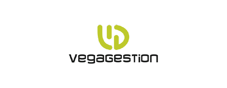 Vegagestion